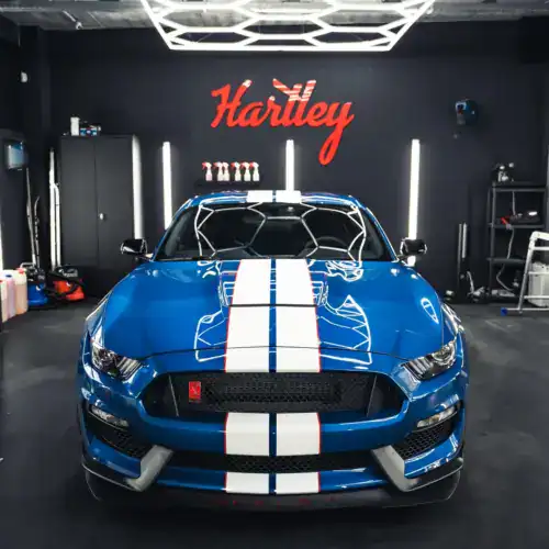 Ford Mustang Shelby GT350 – Polijsten & Gtechniq coating – foto 8